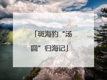 斑海豹“汤圆”归海记