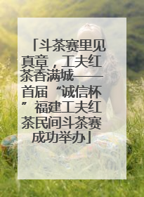 斗茶赛里见真章，工夫红茶香满城——首届“诚信杯”福建工夫红茶民间斗茶赛成功举办