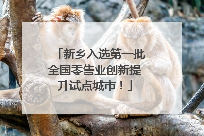 新乡入选第一批全国零售业创新提升试点城市！