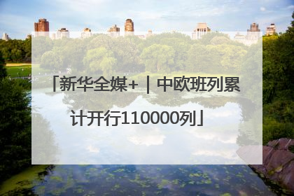 新华全媒+｜中欧班列累计开行110000列