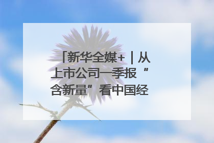 新华全媒+｜从上市公司一季报“含新量”看中国经济发展向“新”