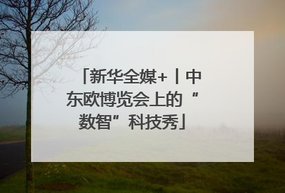 新华全媒+丨中东欧博览会上的“数智”科技秀