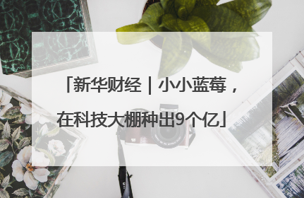 新华财经｜小小蓝莓，在科技大棚种出9个亿