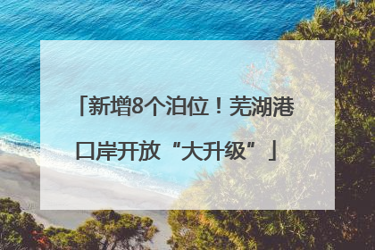 新增8个泊位！芜湖港口岸开放“大升级”