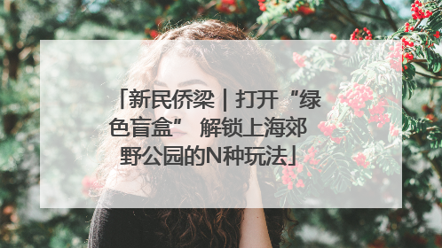 新民侨梁｜打开“绿色盲盒” 解锁上海郊野公园的N种玩法