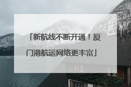 新航线不断开通！厦门港航运网络更丰富