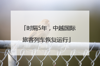时隔5年，中越国际旅客列车恢复运行