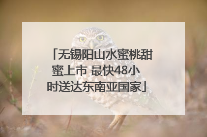 无锡阳山水蜜桃甜蜜上市 最快48小时送达东南亚国家