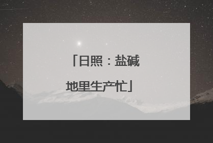 日照：盐碱地里生产忙