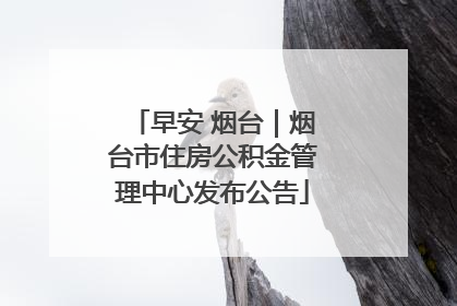 早安 烟台｜烟台市住房公积金管理中心发布公告