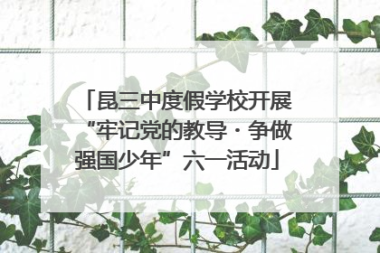 昆三中度假学校开展“牢记党的教导・争做强国少年”六一活动
