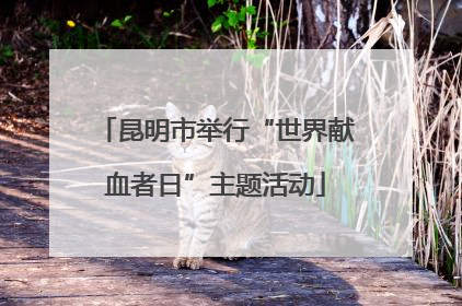 昆明市举行“世界献血者日”主题活动