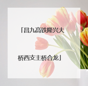 昌九高铁隆兴大桥西支主桥合龙