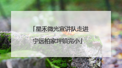 星禾微光宣讲队走进宁远柏家坪镇完小