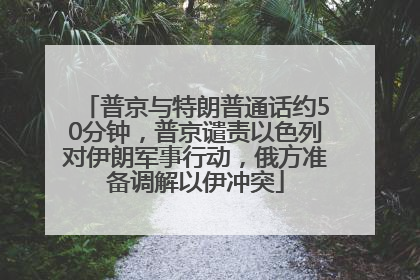 普京与特朗普通话约50分钟，普京谴责以色列对伊朗军事行动，俄方准备调解以伊冲突