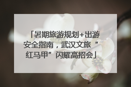 暑期旅游规划+出游安全指南，武汉文旅“红马甲”闪耀高招会