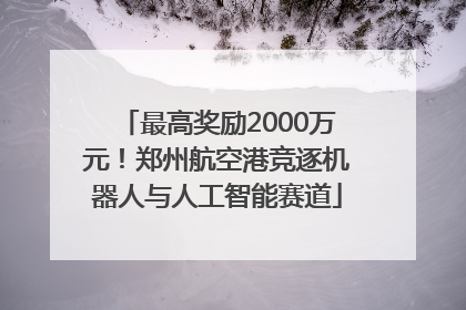 最高奖励2000万元！郑州航空港竞逐机器人与人工智能赛道