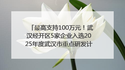最高支持100万元！武汉经开区5家企业入选2025年度武汉市重点研发计划拟立项项目名单