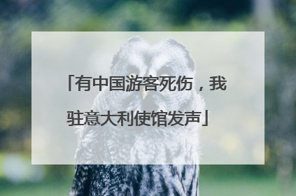 有中国游客死伤，我驻意大利使馆发声
