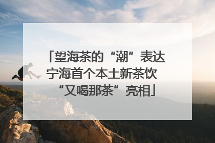 望海茶的“潮”表达 宁海首个本土新茶饮“又喝那茶”亮相