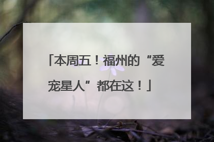 本周五!福州的“爱宠星人”都在这!