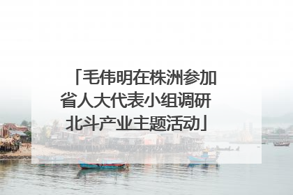 毛伟明在株洲参加省人大代表小组调研北斗产业主题活动