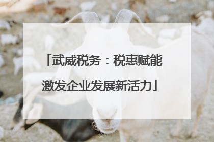 武威税务：税惠赋能 激发企业发展新活力