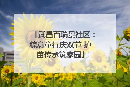 武昌百瑞景社区：粽意童行庆双节 护苗传承筑家园