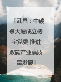武昌：中碳登大厦成立楼宇党委 推进双碳产业高质量发展