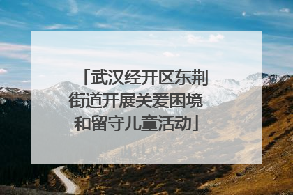 武汉经开区东荆街道开展关爱困境和留守儿童活动