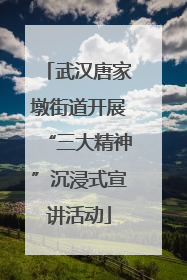 武汉唐家墩街道开展“三大精神”沉浸式宣讲活动