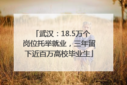 武汉：18.5万个岗位托举就业，三年留下近百万高校毕业生