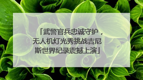 武警官兵忠诚守护，无人机灯光秀挑战吉尼斯世界纪录震撼上演