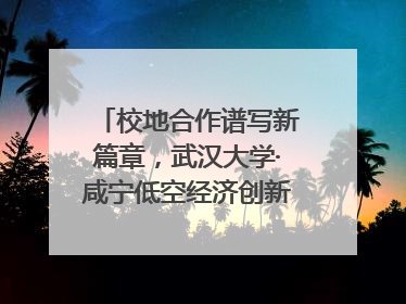 校地合作谱写新篇章，武汉大学·咸宁低空经济创新研究院签约成立