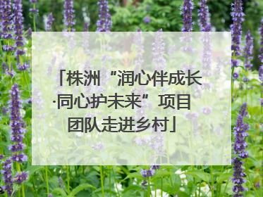 株洲“润心伴成长·同心护未来”项目团队走进乡村