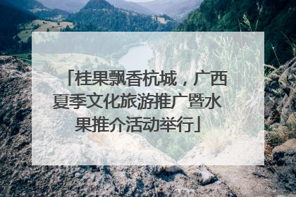 桂果飘香杭城，广西夏季文化旅游推广暨水果推介活动举行