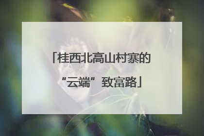 桂西北高山村寨的“云端”致富路