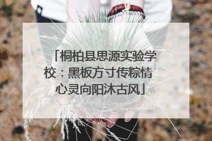 桐柏县思源实验学校：黑板方寸传粽情 心灵向阳沐古风