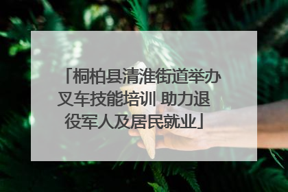 桐柏县清淮街道举办叉车技能培训 助力退役军人及居民就业