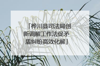 桦川县司法局创新调解工作法促矛盾纠纷高效化解