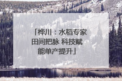 桦川：水稻专家田间把脉 科技赋能单产提升