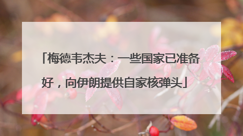 梅德韦杰夫：一些国家已准备好，向伊朗提供自家核弹头