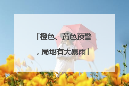 橙色、黄色预警，局地有大暴雨