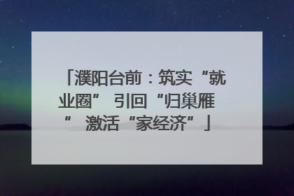濮阳台前：筑实“就业圈” 引回“归巢雁” 激活“家经济”