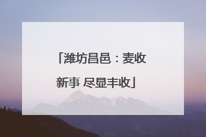 潍坊昌邑：麦收新事 尽显丰收