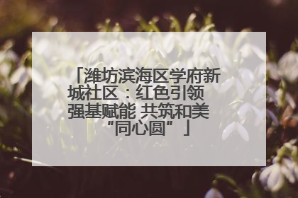 潍坊滨海区学府新城社区：红色引领 强基赋能 共筑和美“同心圆”