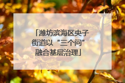 潍坊滨海区央子街道以“三个问”融合基层治理