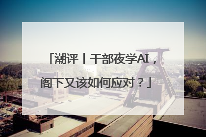 潮评丨干部夜学AI，阁下又该如何应对？