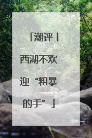潮评丨西湖不欢迎“粗暴的手”