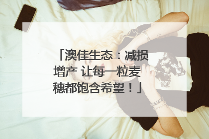 澳佳生态：减损增产 让每一粒麦穗都饱含希望！